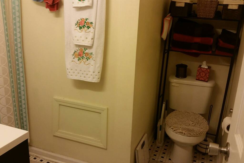 full bath in master bedroom