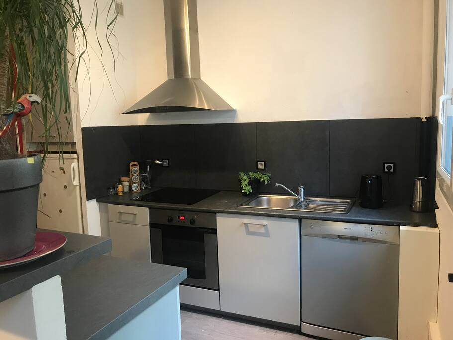 Cuisine ouverte sur le salon