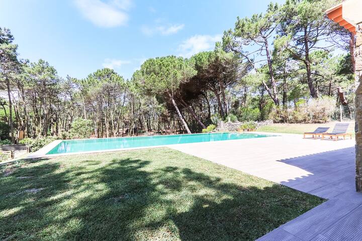 Villa Banzão gallery image 2