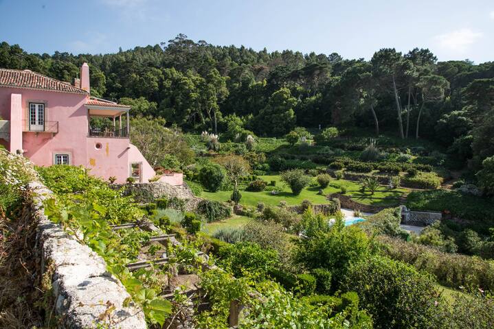 Magnificent historic family villa gallery image 3