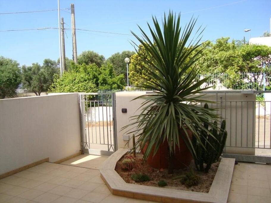 Giardino