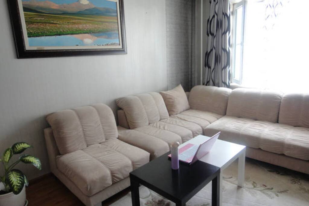 Sofa in the common room