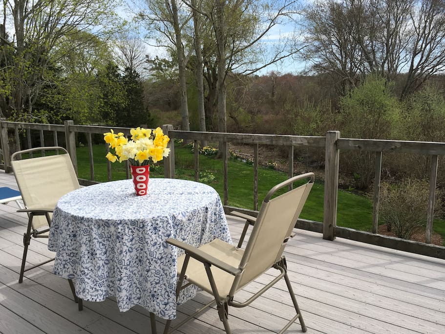 Expansive deck directly accessible from bedroom.