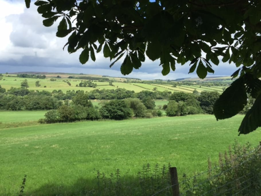 Views of Weardale from the Venue