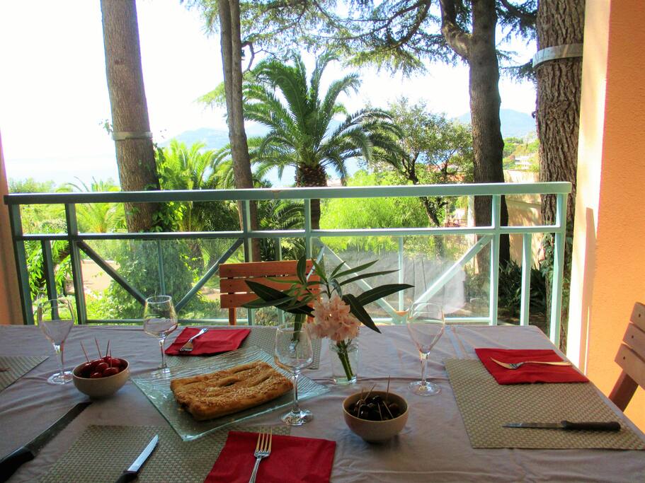 POUR VOS REPAS, BELLE TERRASSE AVEC VUE MER