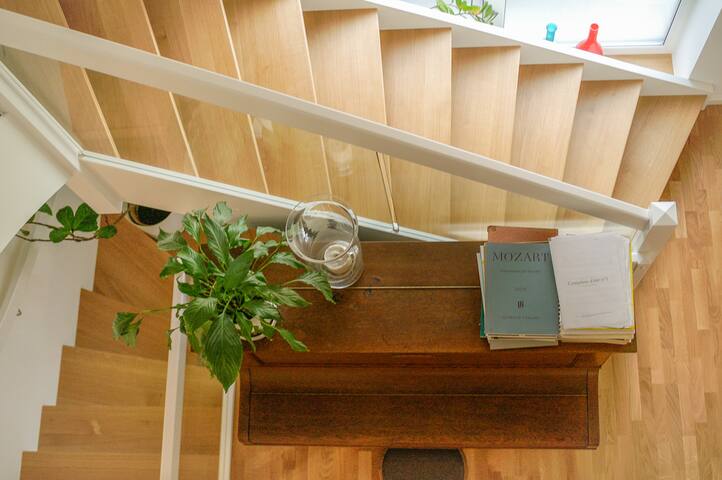 Modern bright architect house in the greenery gallery image 4