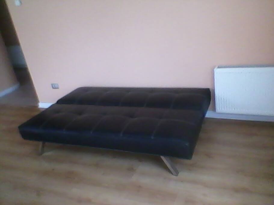 Sofa cama en el living (en la foto aparece sin ropa de cama pero se le otorgará al hospedarse)