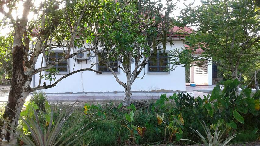 Genieten van rust en natuur!