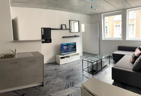 Successful Airbnb property: Gîte de Tournai-les-Carrières-centre-historique in Tournai