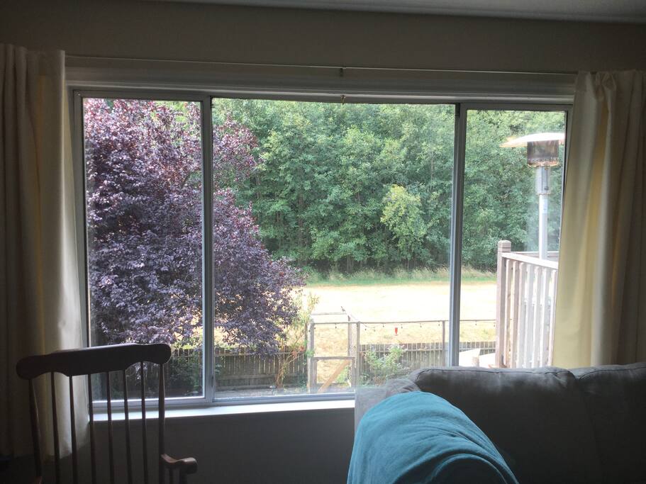 View looking into green space.
