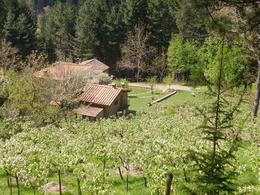 Panoramica