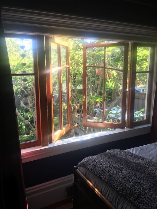 Window next to bed in Private Bedroom
