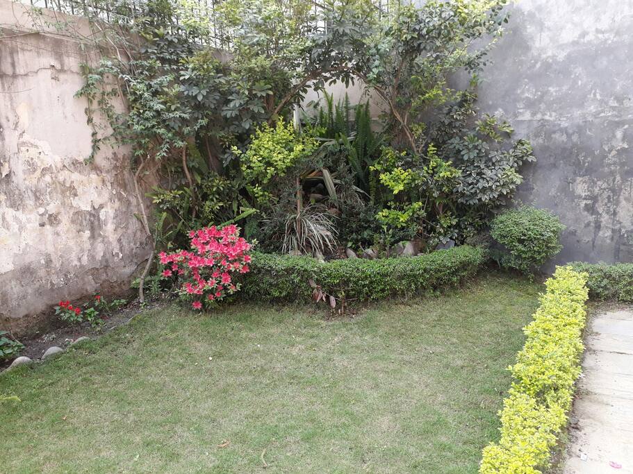 garden