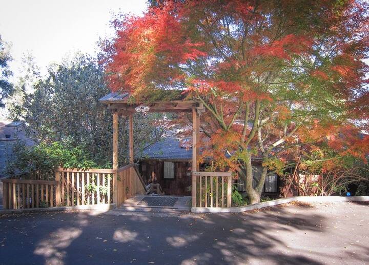 Fox Ridge & Fox Haven Sleeps 14 a Family Retreat