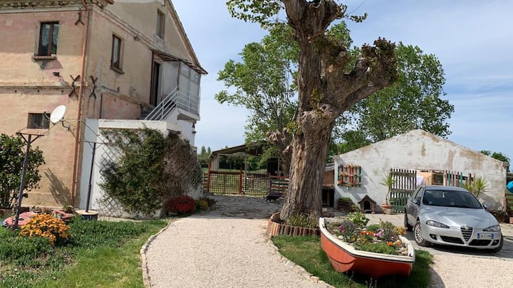 Rural House Near The Beach: B&b Margarita - Senigallia