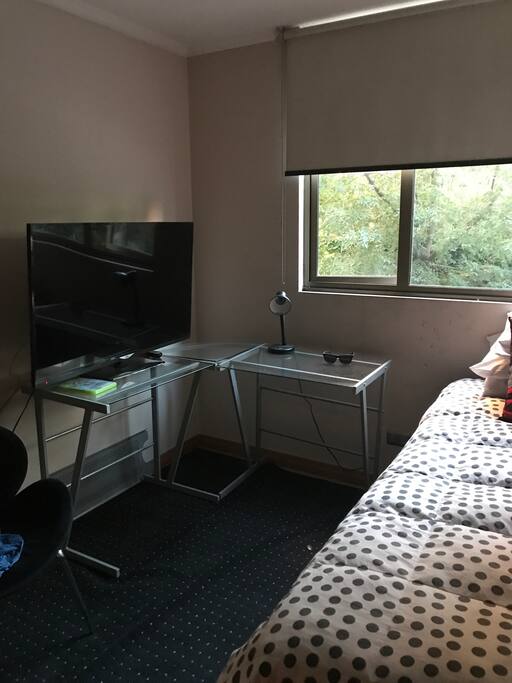Pieza cama plaza 1/2 con televisor y Wii más Closet y escritorio