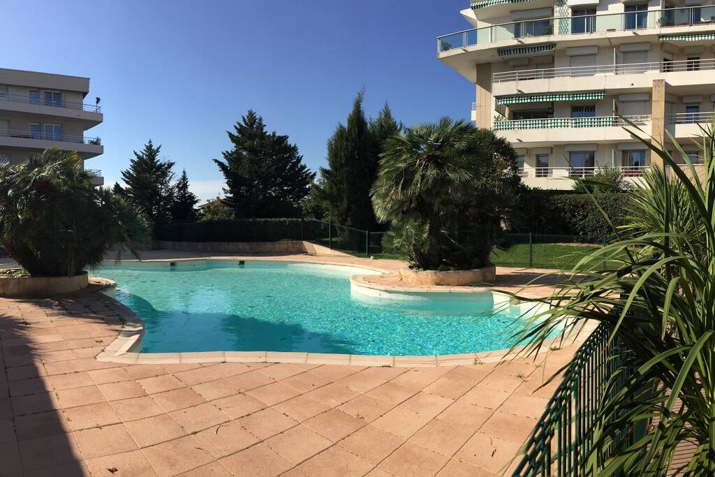 Large swimming pool shared in the residence