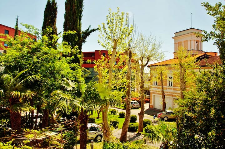 Sunny Oasis of Peace in City Center