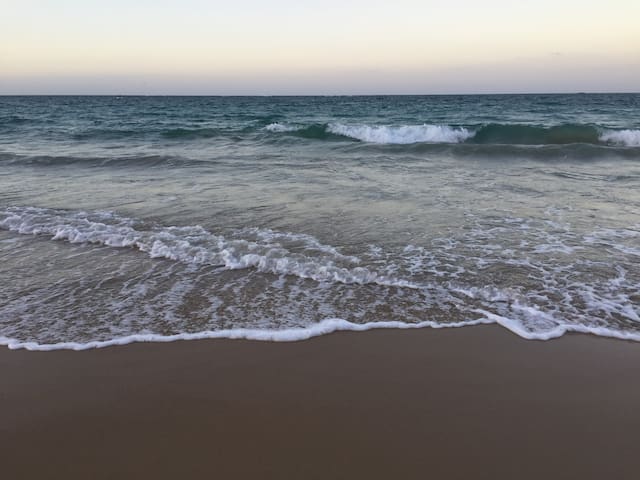 "Bed and Beach" Studio