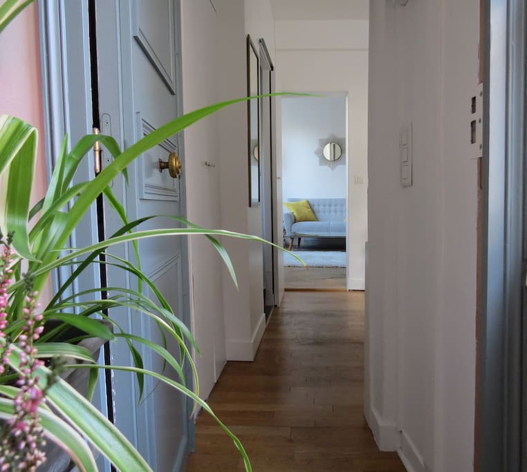 View from the entrance door