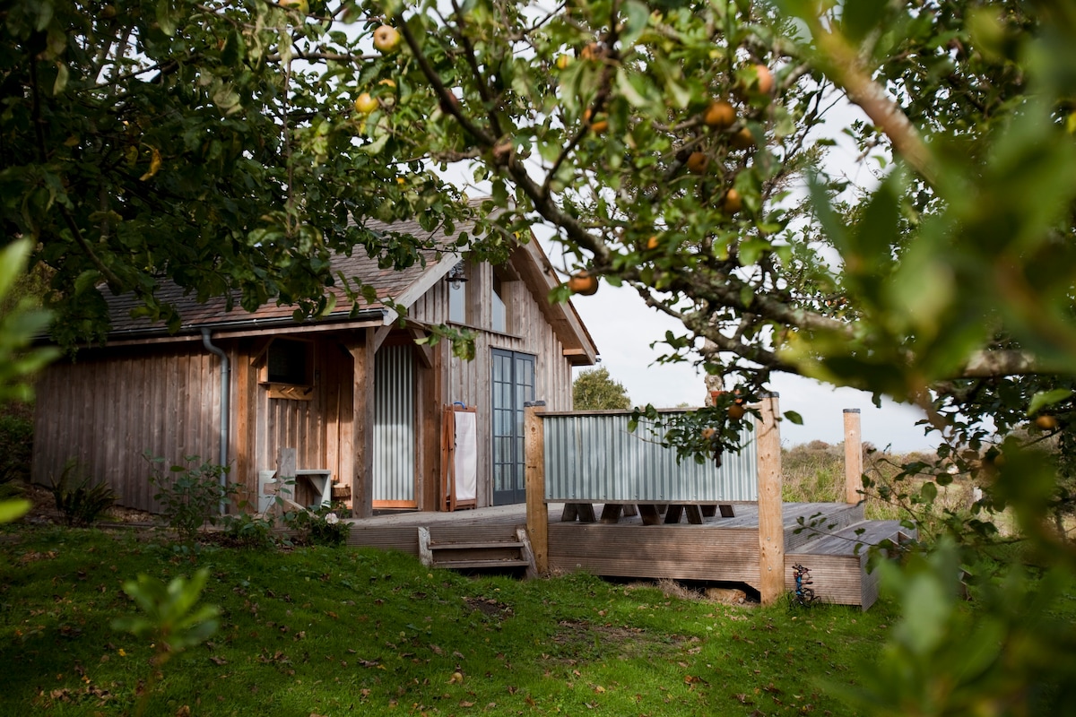 A timber hut is nestled among trees, featuring large glass doors and a wooden deck for outdoor relaxation. The surrounding greenery includes apple trees, providing a natural setting that enhances the serene atmosphere of the cabin.