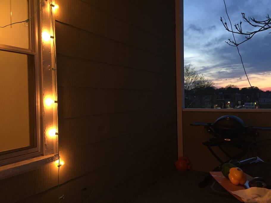 Back porch with table and chairs (and a moody vegetable garden...)