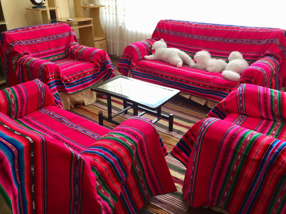 Fully decorated with Bolivian aguayos
