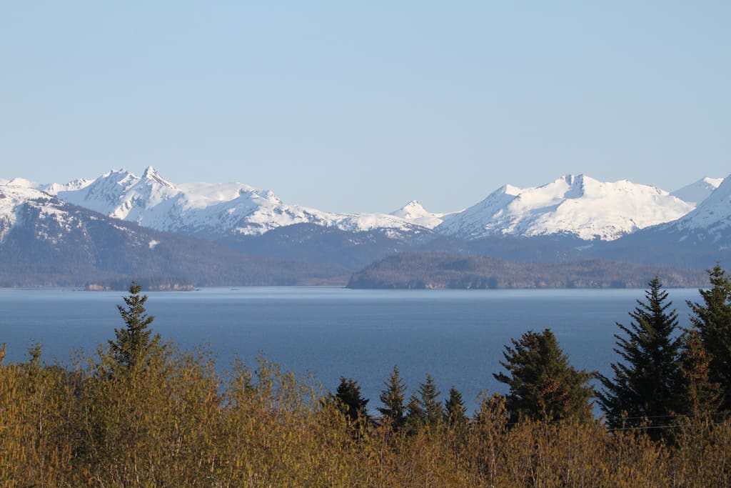 View from the house.