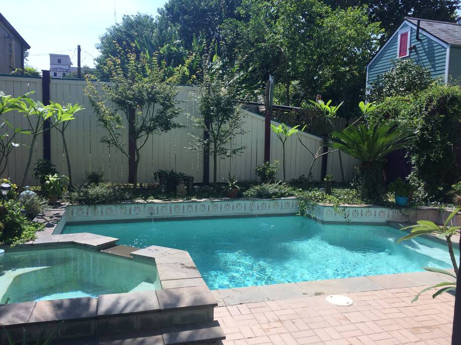 Pool gardens with blooming plumeria!