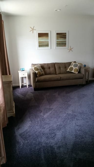 Full size sleep sofa