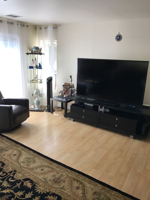 TV Salon