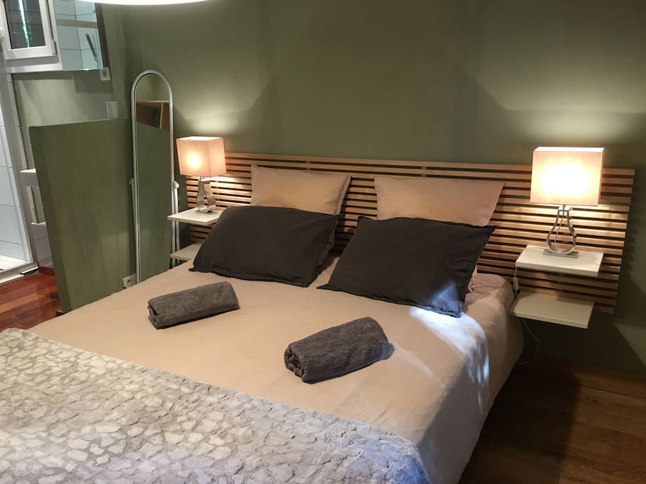 Chambre Verte Lit 160x200 vue sur jardin avec Grand Douche et WC