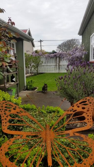 Surrounding garden