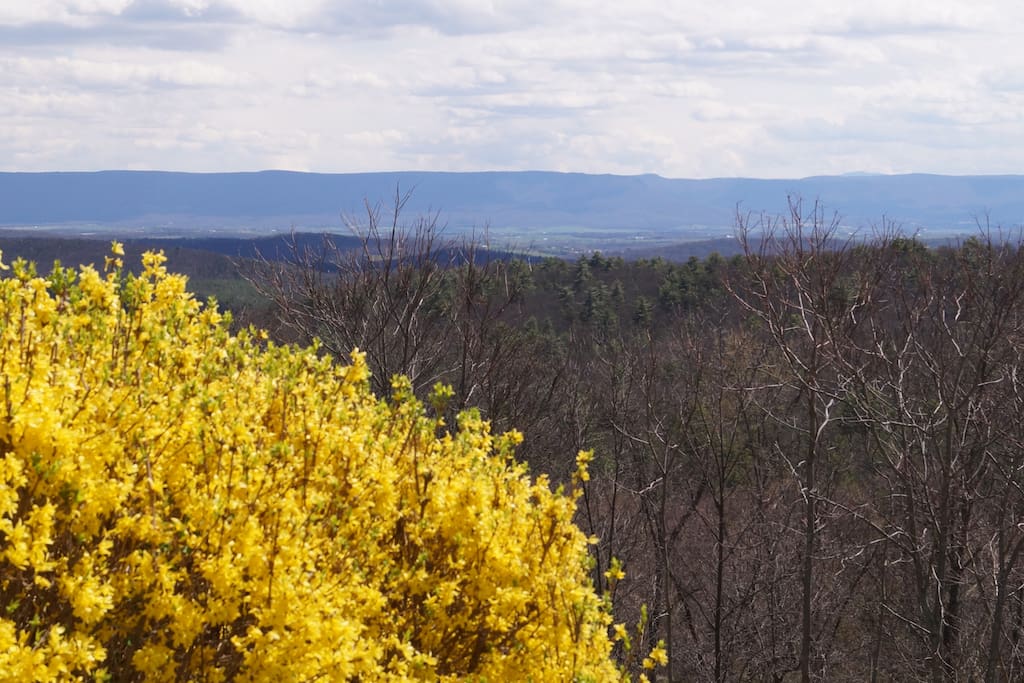 View from the ridge, less than a mile from the cabin