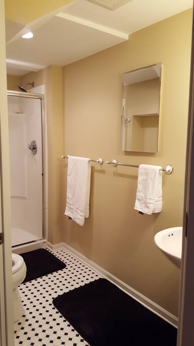 Bathroom, shower has great water pressure.
