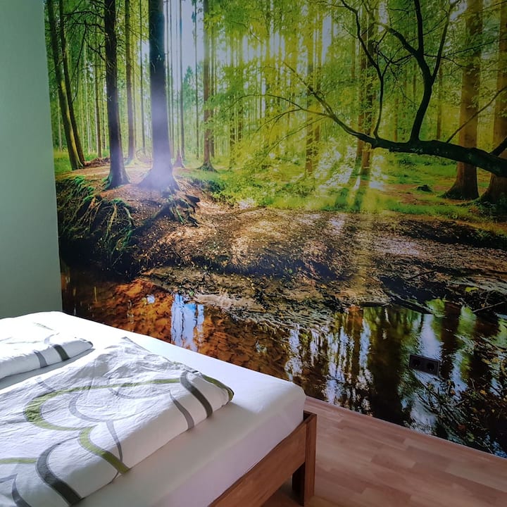 Pohľad na krásnu tapetu s fotografiou lesa v „zelenej izbe“.
