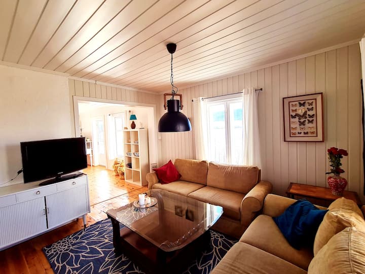 Укромный уголок с диваном. Прекрасный оливковый зеленый диван, мягкий и приятный для сидения. Трехместный и двухместный диван с широкими сиденьями, которые вы можете видеть. Фьорд мерцает в окне.