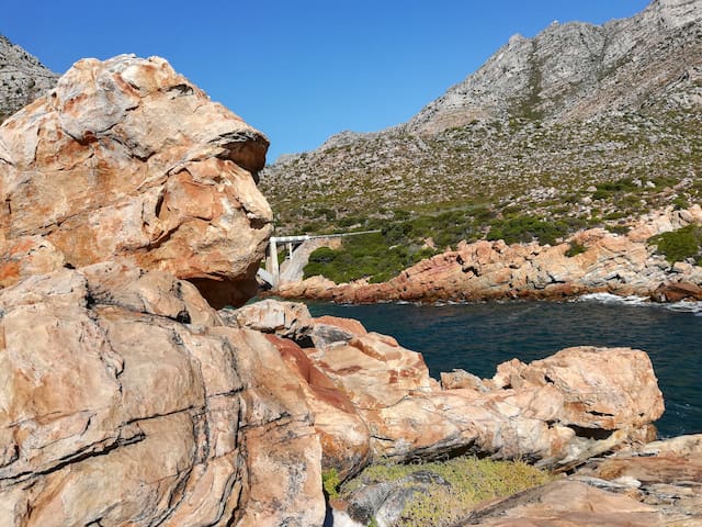 Exclusive Monkey Rock Dolphin and Whale Outlook