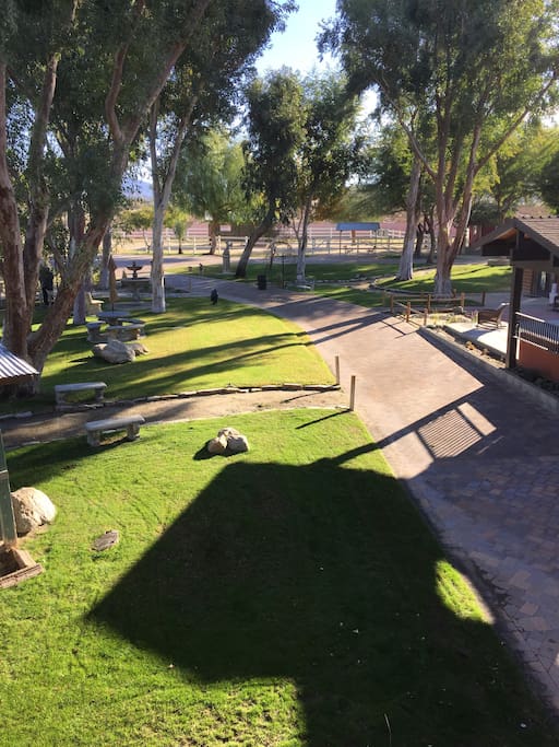 You'll love it here. It will make your Coachella Valley Fest a way cool experience.