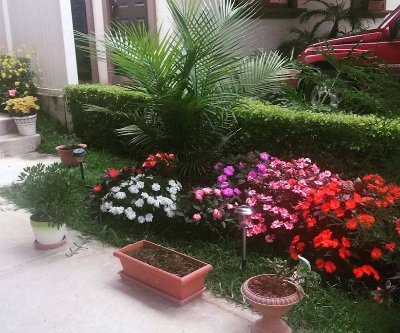 Mi jardin / My garden