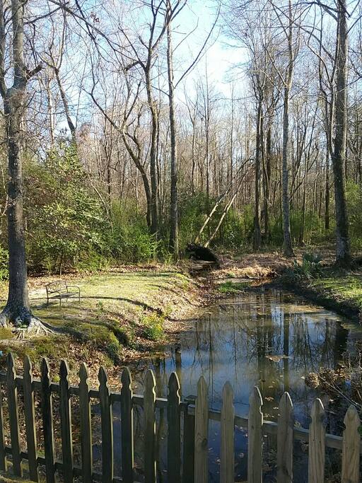 view from the back deck