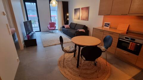 New, spacious, downtown with sauna