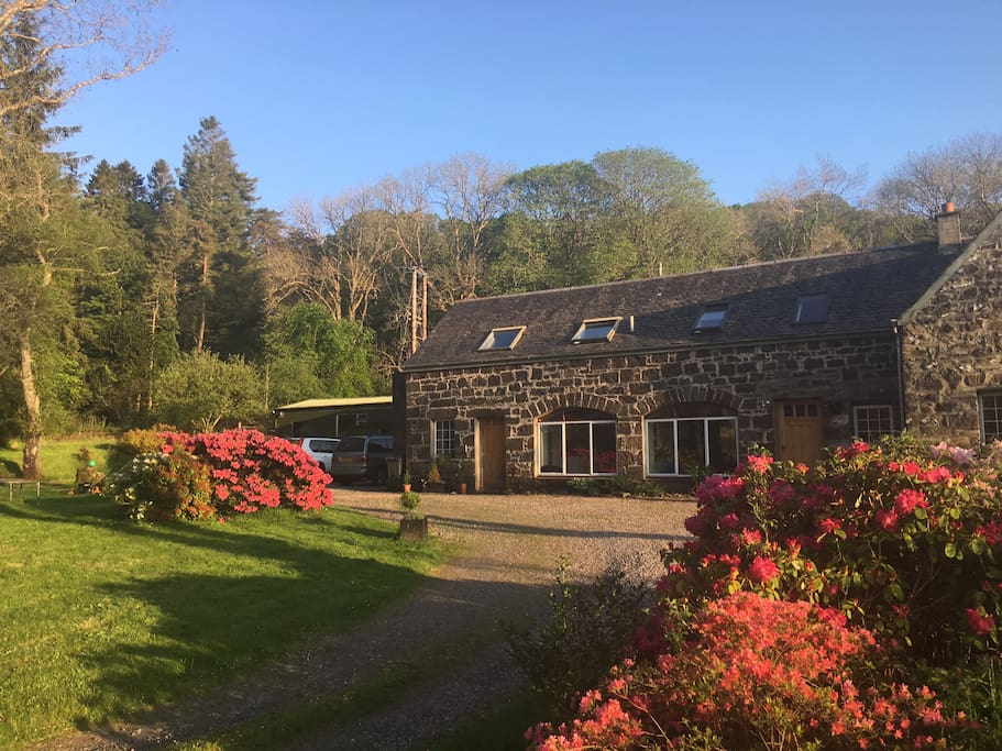 Front view of house early summer