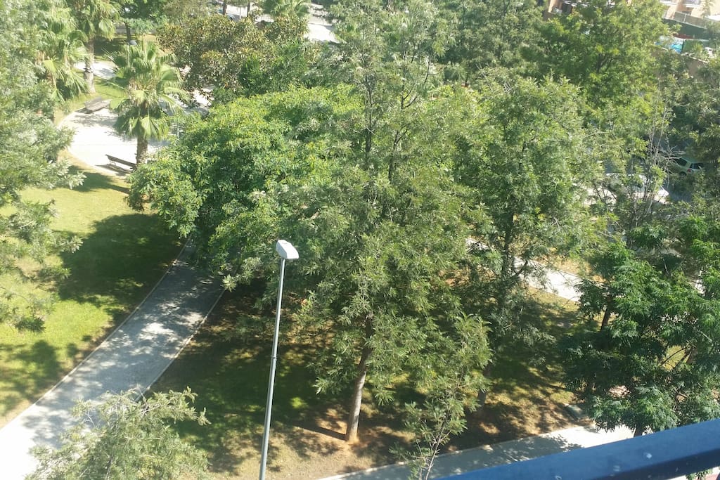 Vistas