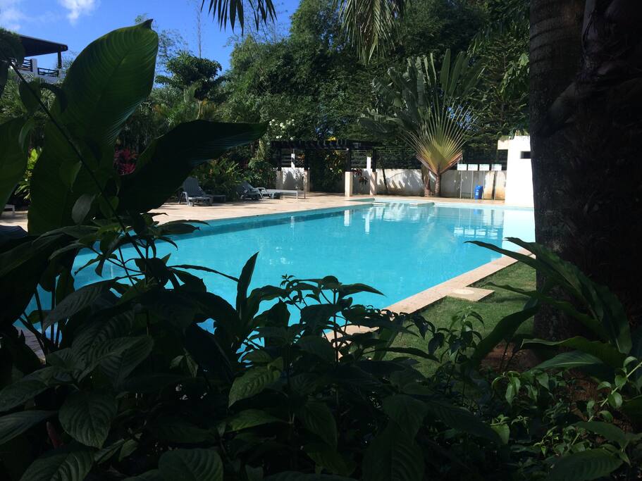 pool area and back garden