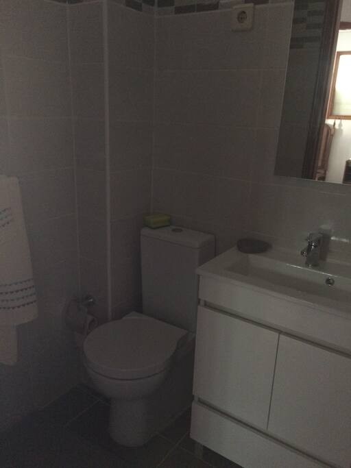salle de bain avec toilette