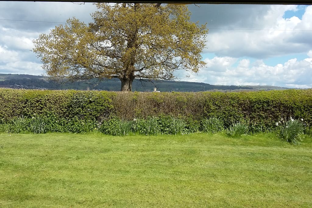 View from the window
