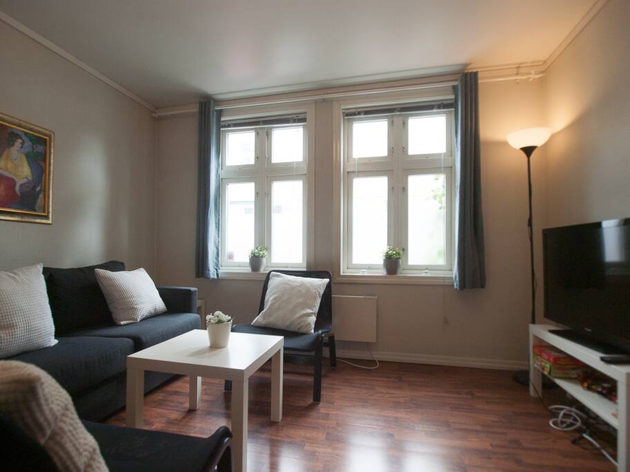 Sittegruppe med TV. The living-room With TV
