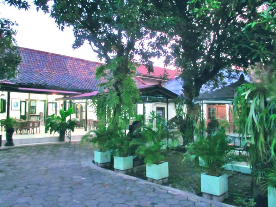 Frontyard