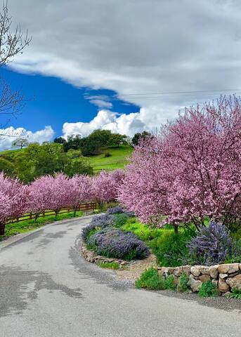 Unique & private hidden gem with spectacular views gallery image 3